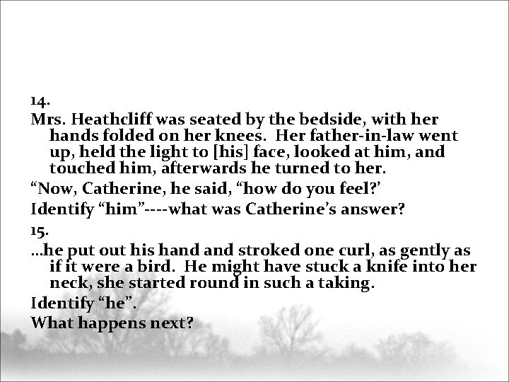 14. Mrs. Heathcliff was seated by the bedside, with her hands folded on her