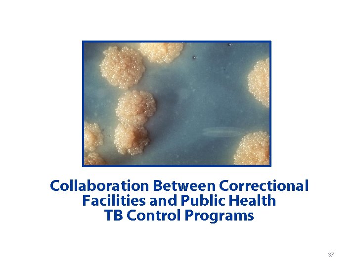 Collaboration Between Correctional Facilities and Public Health TB Control Programs 37 