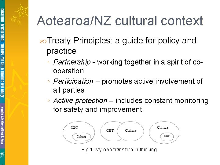 Aotearoa/NZ cultural context Treaty Principles: a guide for policy and practice ◦ Partnership -