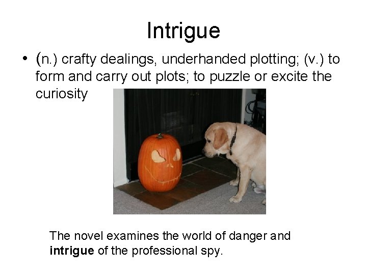 Intrigue • (n. ) crafty dealings, underhanded plotting; (v. ) to form and carry