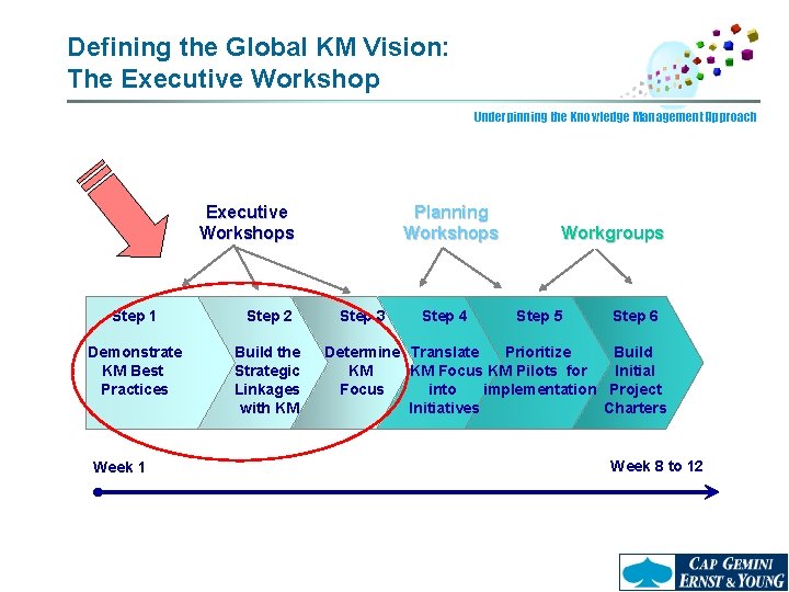 Defining the Global KM Vision: The Executive Workshop Underpinning the Knowledge Management Approach Executive