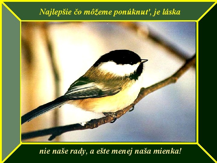 Najlepšie čo môžeme ponúknuť, je láska nie naše rady, a ešte menej naša mienka!