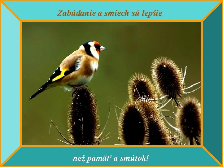 Zabúdanie a smiech sú lepšie než pamäť a smútok! 