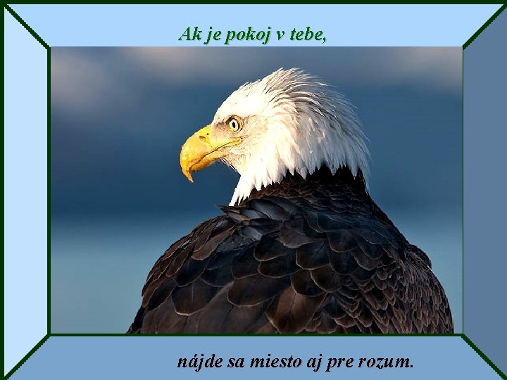 Ak je pokoj v tebe, nájde sa miesto aj pre rozum 