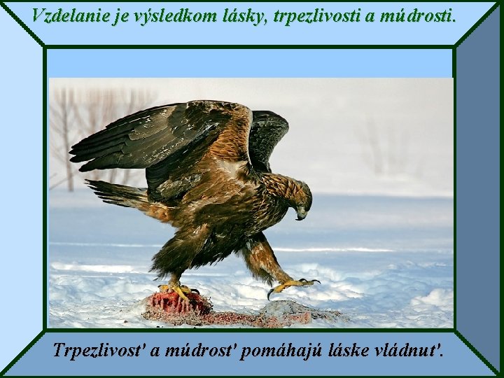 Vzdelanie je výsledkom lásky, trpezlivosti a múdrosti. Trpezlivosť a múdrosť pomáhajú láske vládnuť 