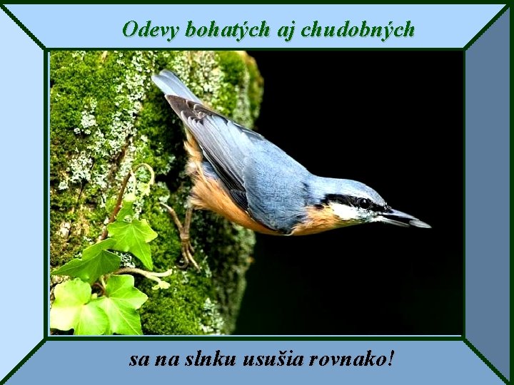 Odevy bohatých aj chudobných sa na slnku usušia rovnako! 