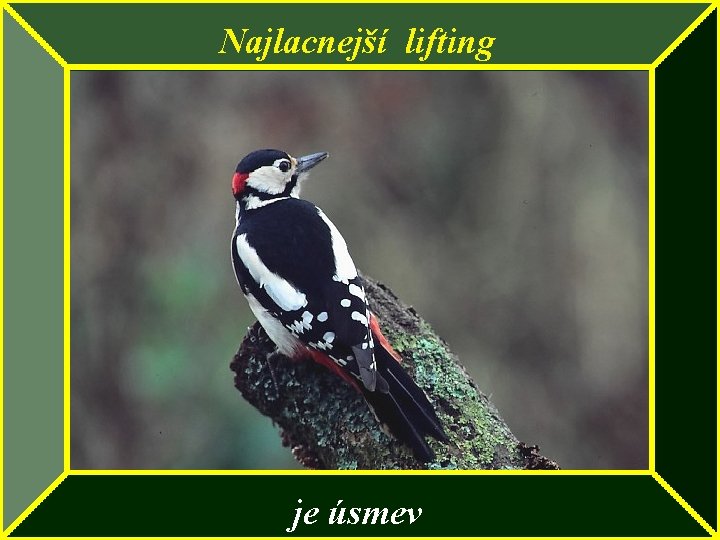 Najlacnejší lifting je úsmev 