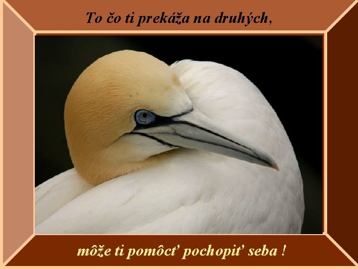 To čo ti prekáža na druhých, môže ti pomôcť pochopiť seba ! 