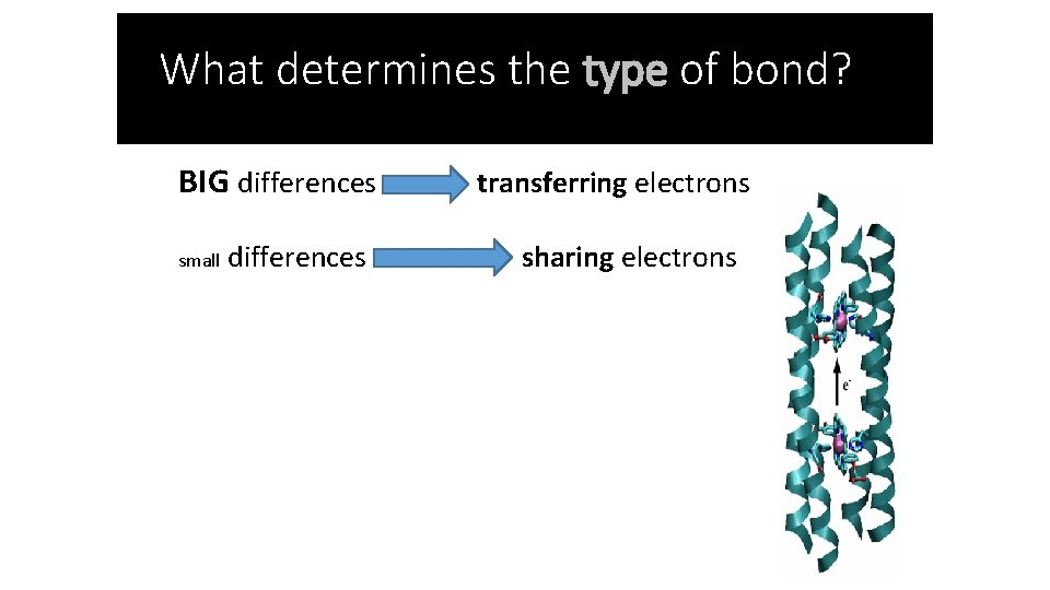 What determines the type of bond? BIG differences small differences transferring electrons sharing electrons