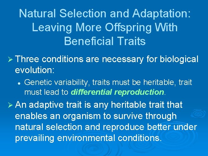 Natural Selection and Adaptation: Leaving More Offspring With Beneficial Traits Ø Three conditions are