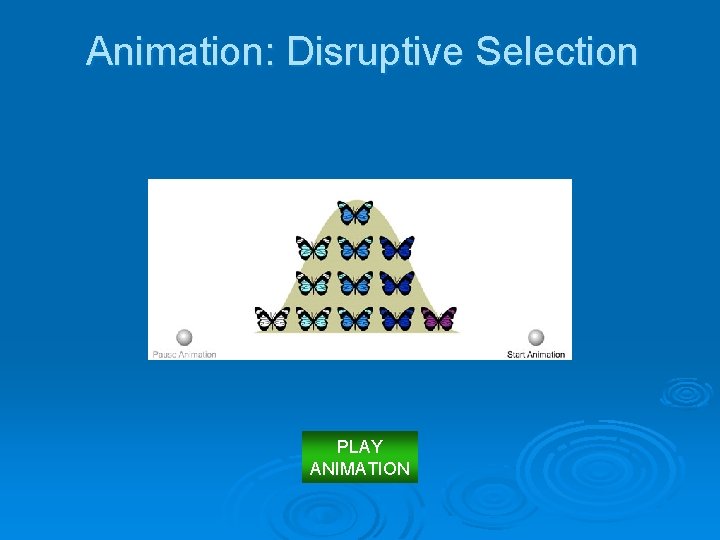Animation: Disruptive Selection PLAY ANIMATION 
