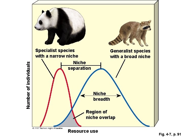 Number of individuals Specialist species with a narrow niche Niche separation Generalist species with