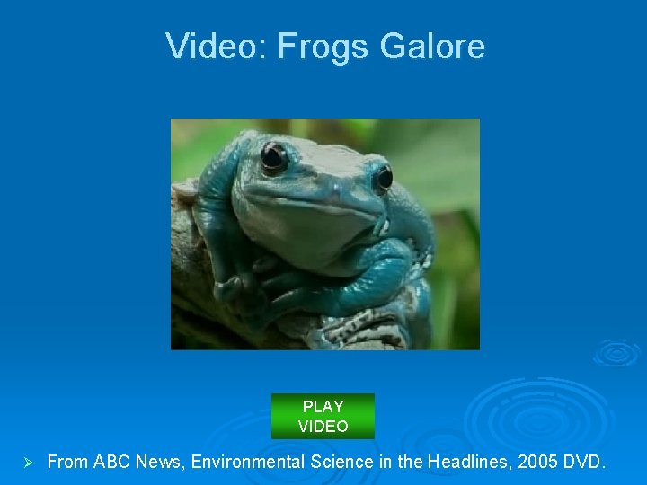 Video: Frogs Galore PLAY VIDEO Ø From ABC News, Environmental Science in the Headlines,