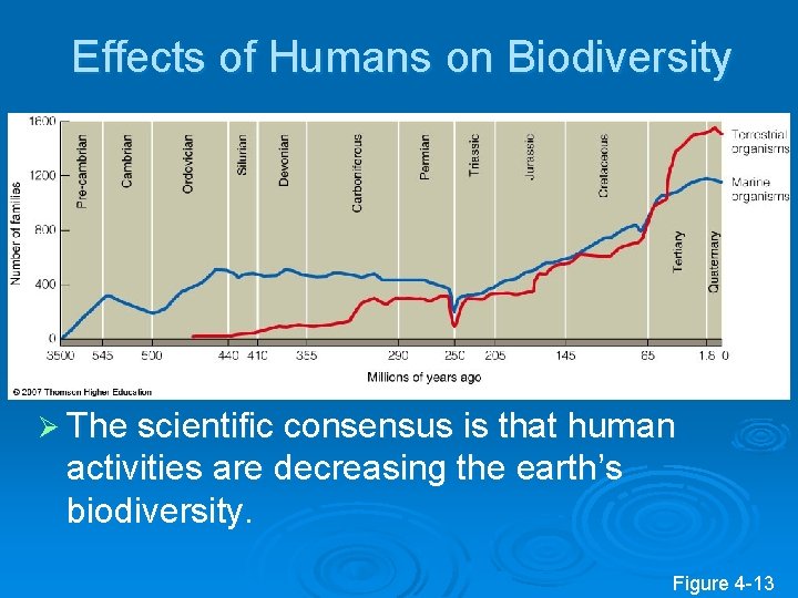Effects of Humans on Biodiversity Ø The scientific consensus is that human activities are