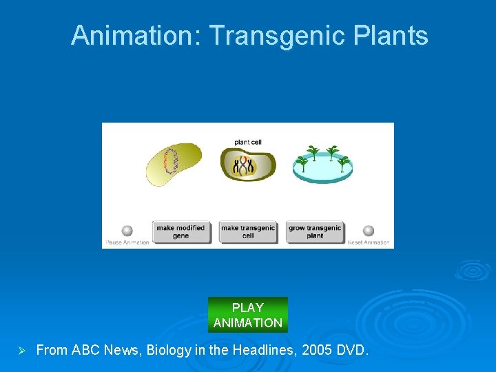 Animation: Transgenic Plants PLAY ANIMATION Ø From ABC News, Biology in the Headlines, 2005