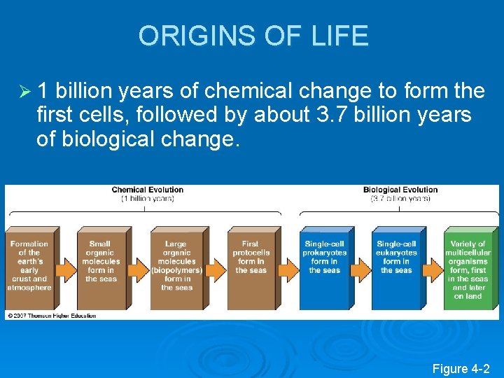 ORIGINS OF LIFE Ø 1 billion years of chemical change to form the first