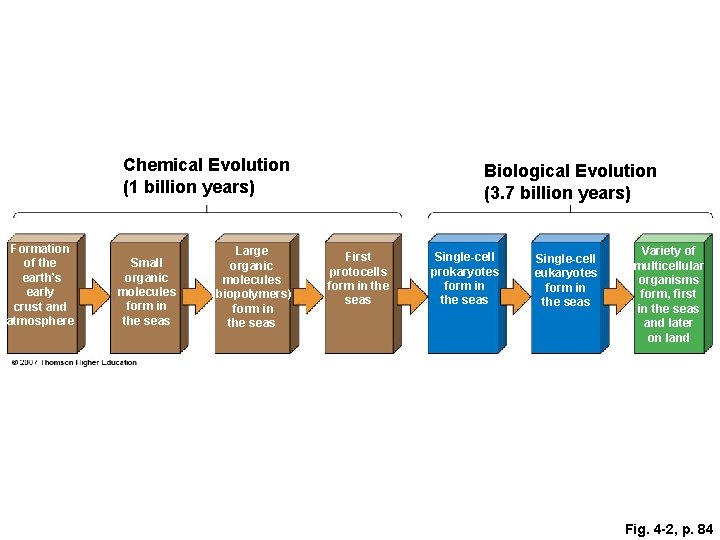 Chemical Evolution (1 billion years) Formation of the earth’s early crust and atmosphere Small