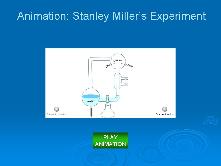 Animation: Stanley Miller’s Experiment PLAY ANIMATION 