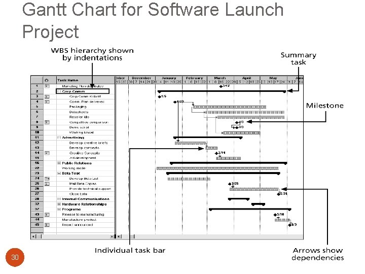 Gantt Chart for Software Launch Project 30 