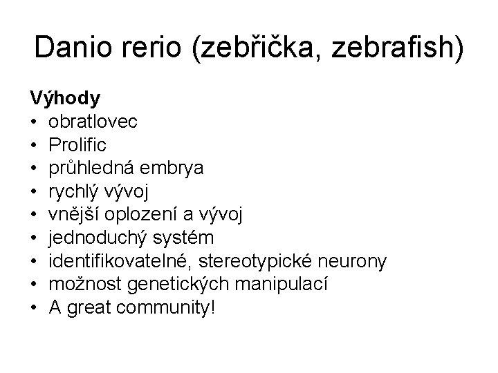 Danio rerio (zebřička, zebrafish) Výhody • obratlovec • Prolific • průhledná embrya • rychlý