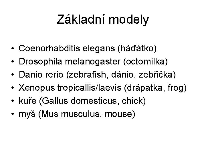 Základní modely • • • Coenorhabditis elegans (háďátko) Drosophila melanogaster (octomilka) Danio rerio (zebrafish,