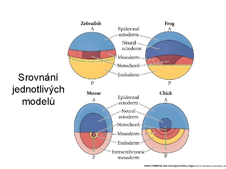 Srovnání jednotlivých modelů 