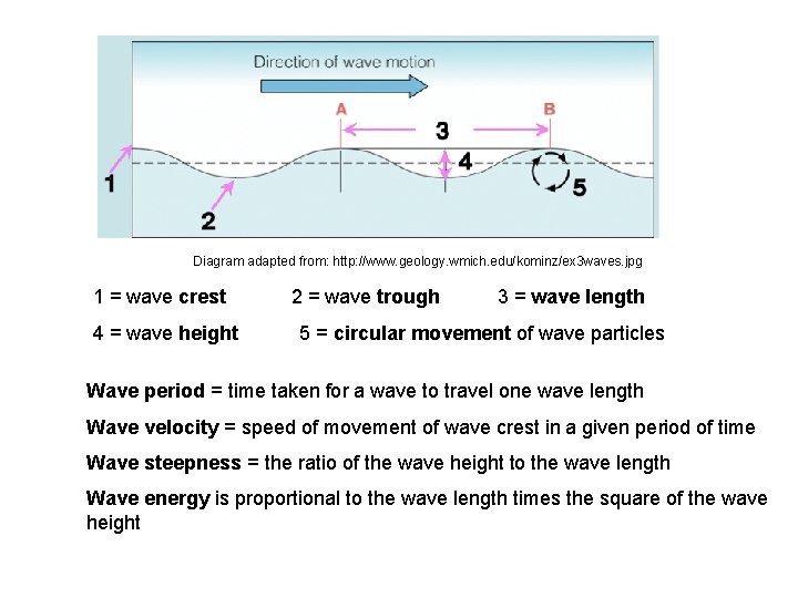 Diagram adapted from: http: //www. geology. wmich. edu/kominz/ex 3 waves. jpg 1 = wave