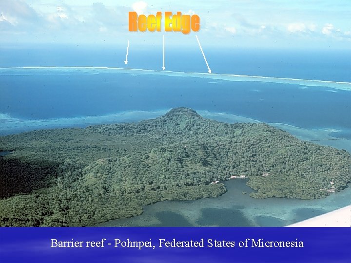 Barrier reef - Pohnpei, Federated States of Micronesia 