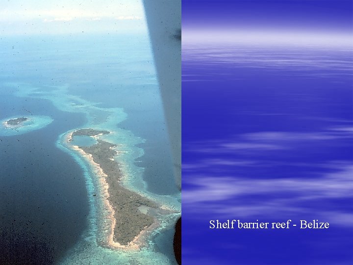 Shelf barrier reef - Belize 
