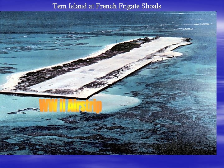 Tern Island at French Frigate Shoals 