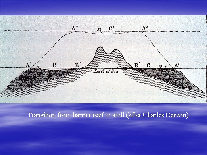 Transition from barrier reef to atoll (after Charles Darwin). 