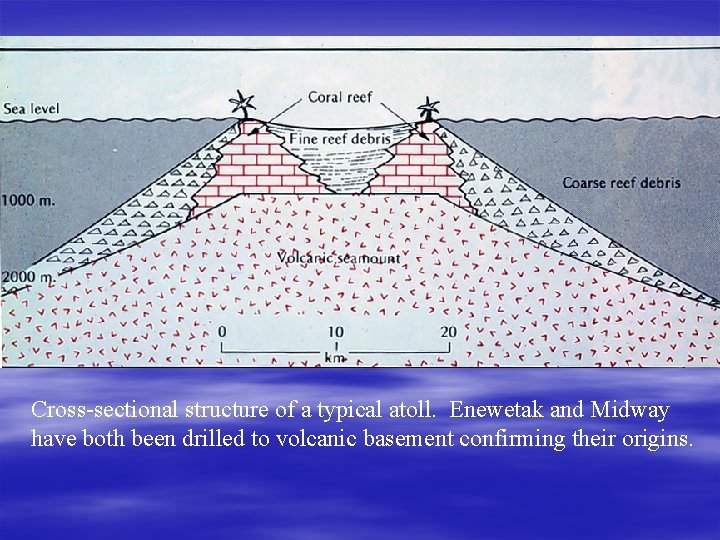 Cross-sectional structure of a typical atoll. Enewetak and Midway have both been drilled to