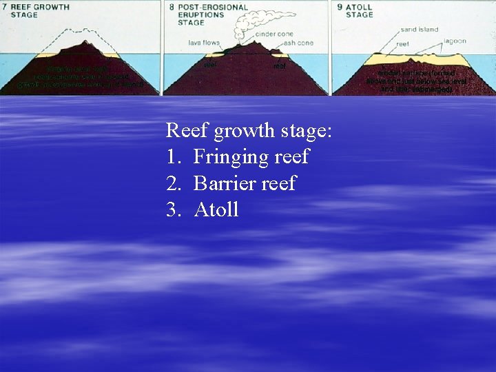 Reef growth stage: 1. Fringing reef 2. Barrier reef 3. Atoll 