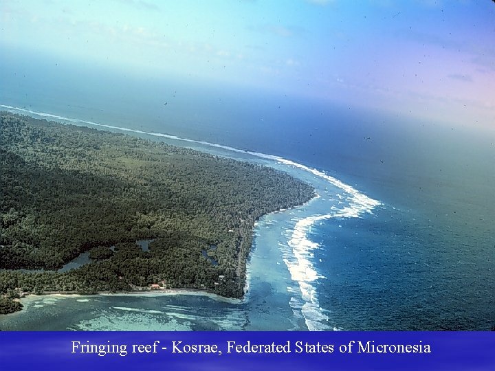 Fringing reef - Kosrae, Federated States of Micronesia 