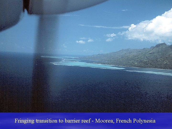 Fringing transition to barrier reef - Moorea, French Polynesia 