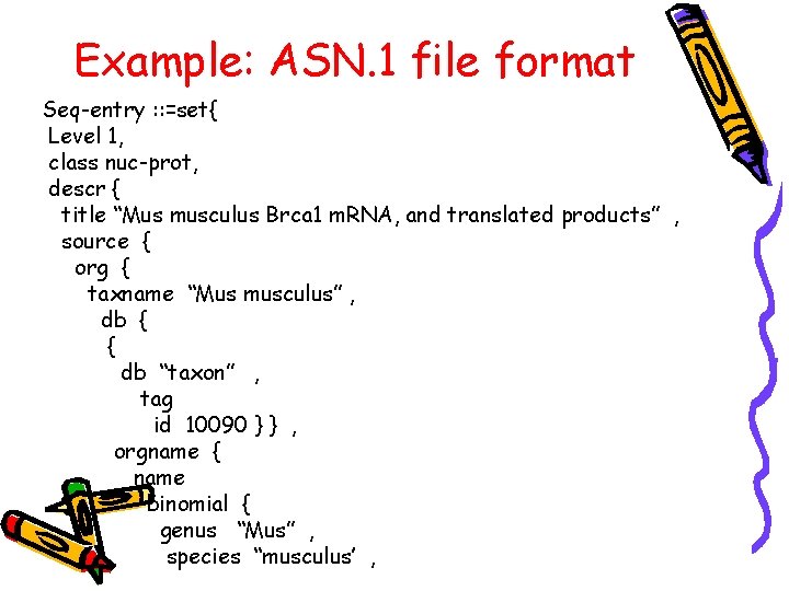 Example: ASN. 1 file format Seq-entry : : =set{ Level 1, class nuc-prot, descr Example: ASN. 1 file format Seq-entry : : =set{ Level 1, class nuc-prot, descr