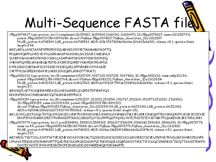 Multi-Sequence FASTA file >FBpp 0074027 type=protein; loc=X: complement(16159413. . 16159860, 16160061. . 16160497); ID=FBpp Multi-Sequence FASTA file >FBpp 0074027 type=protein; loc=X: complement(16159413. . 16159860, 16160061. . 16160497); ID=FBpp