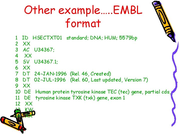 Other example…. . EMBL format 1 ID HSECTXT 01 standard; DNA; HUM; 5579 bp Other example…. . EMBL format 1 ID HSECTXT 01 standard; DNA; HUM; 5579 bp