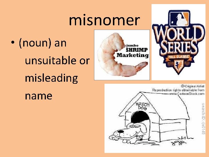 misnomer • (noun) an unsuitable or misleading name 