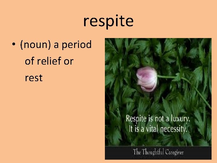 respite • (noun) a period of relief or rest 