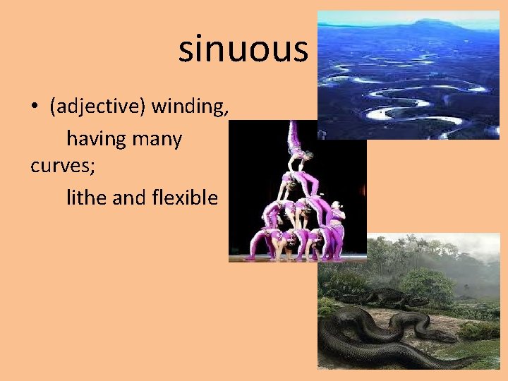 sinuous • (adjective) winding, having many curves; lithe and flexible 