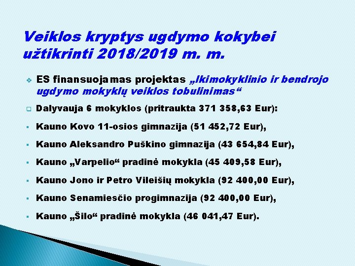 Veiklos kryptys ugdymo kokybei užtikrinti 2018/2019 m. m. v ES finansuojamas projektas „Ikimokyklinio ir