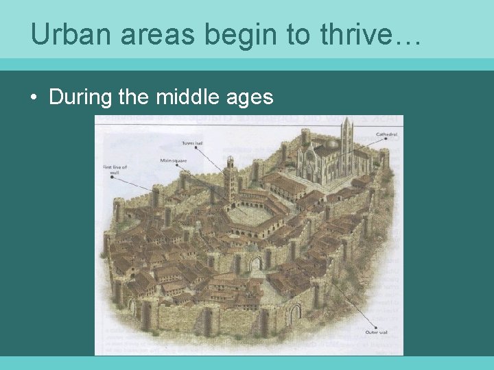 Urban areas begin to thrive… • During the middle ages 