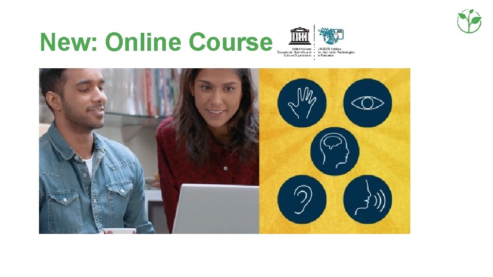 New: Online Course 