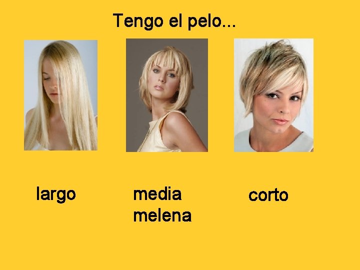 Tengo el pelo. . . largo media melena corto 