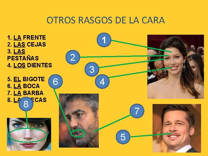 OTROS RASGOS DE LA CARA 1. LA FRENTE 2. LAS CEJAS 3. LAS PESTAÑAS