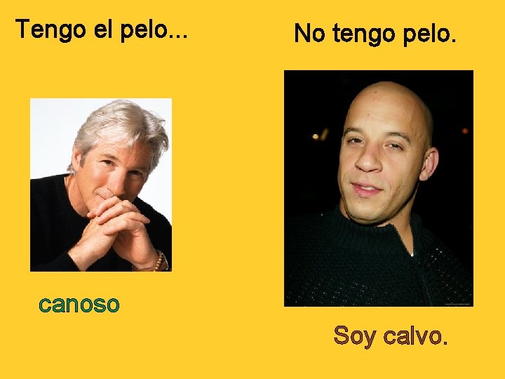 Tengo el pelo. . . No tengo pelo. canoso Soy calvo. 