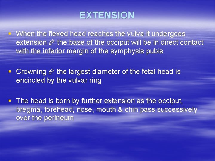 EXTENSION § When the flexed head reaches the vulva it undergoes extension the base EXTENSION § When the flexed head reaches the vulva it undergoes extension the base