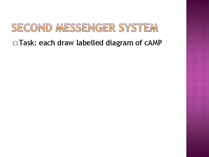 � Task: each draw labelled diagram of c. AMP 