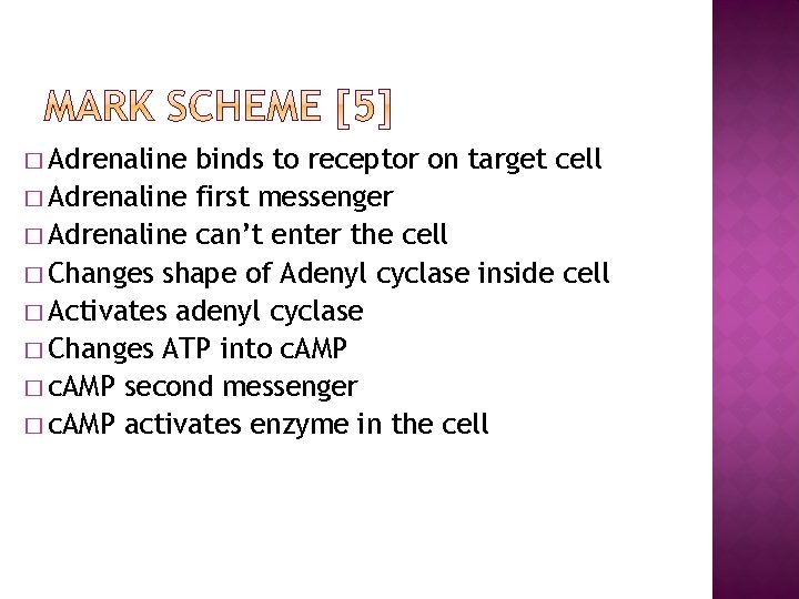 � Adrenaline binds to receptor on target cell � Adrenaline first messenger � Adrenaline